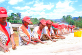 ETHIOPIA // BANKO GOTITI WASHED