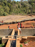 ETHIOPIA // BANKO GOTITI WASHED