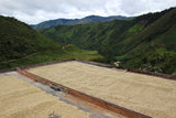 COLOMBIA // EL MERIDIANO