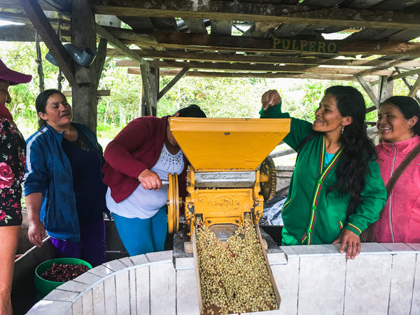 PERU // MARILÚ WASHED
